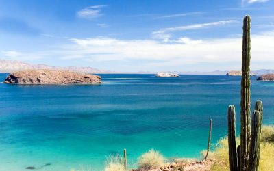 ahhh-baja ahhh-baja