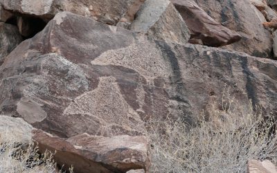 ancient-petroglyphs-of-the-baja-peninsula