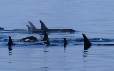 southease-alaska-Trip-1516