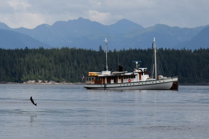 a boat with a fish jumping nearby