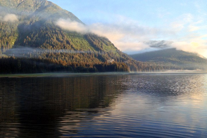 A green hill near the water